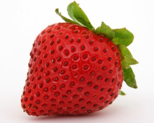 Fruits
