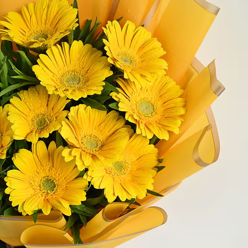Bouquet of Sunshine Gerberas